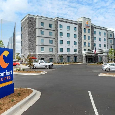 Comfort Suites Greenville Airport Экстерьер фото